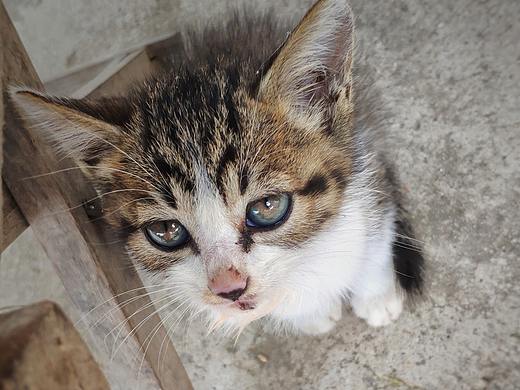 （手机摄影）MI8-随拍