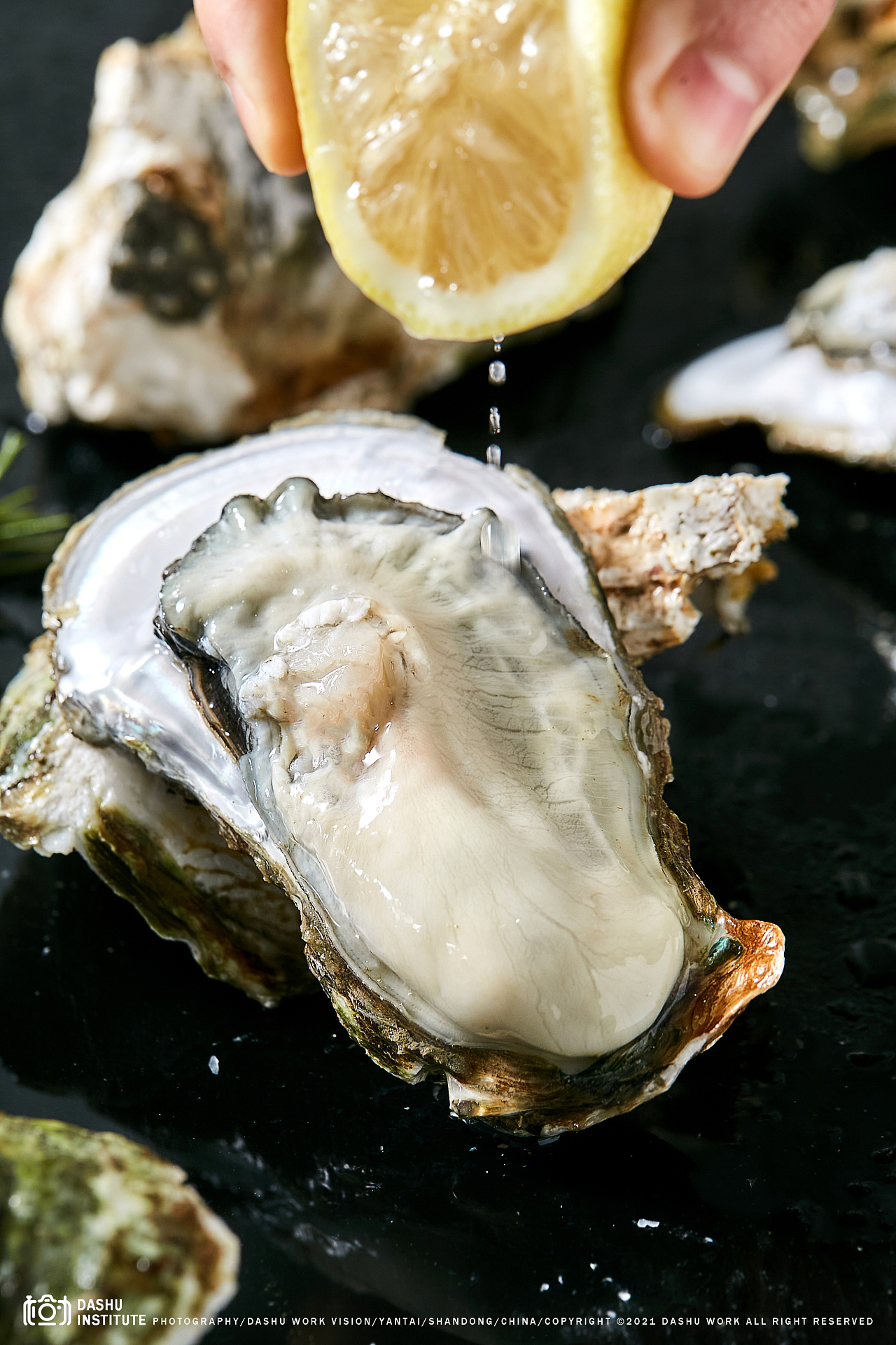生蚝| 海蛎子