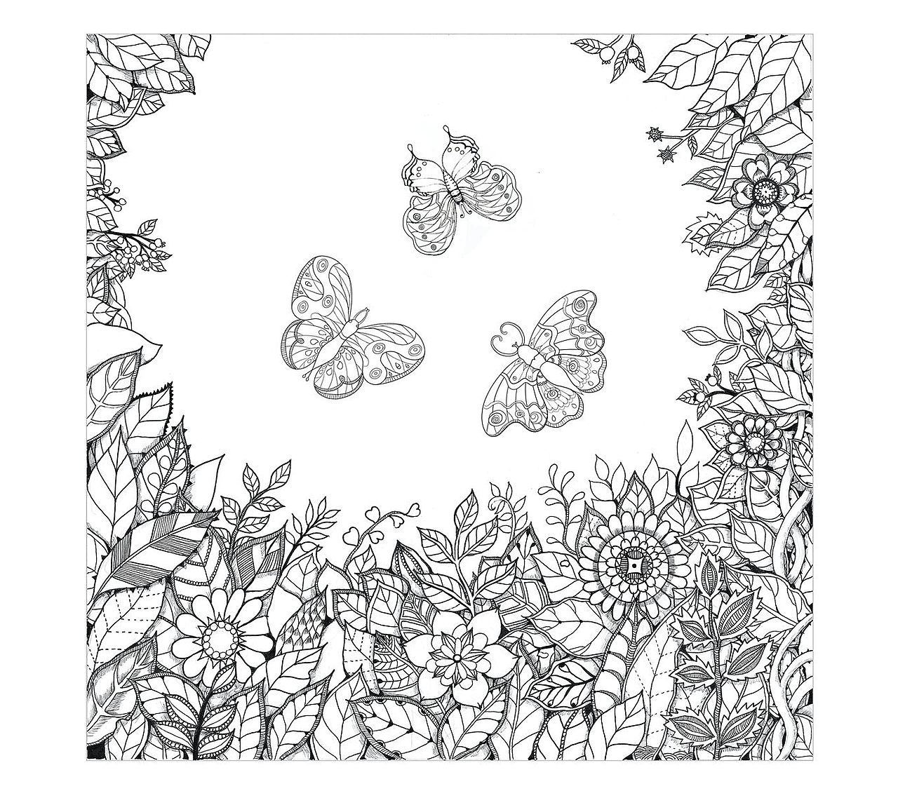 秘密花园|插画|商业插画|肥立普皂_原创作品-站酷zcool