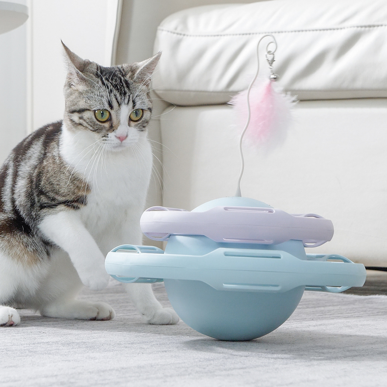 新款猫咪铃铛球塑料空心炫光响声猫玩具球发光宠物逗猫玩具镂空球-阿里巴巴