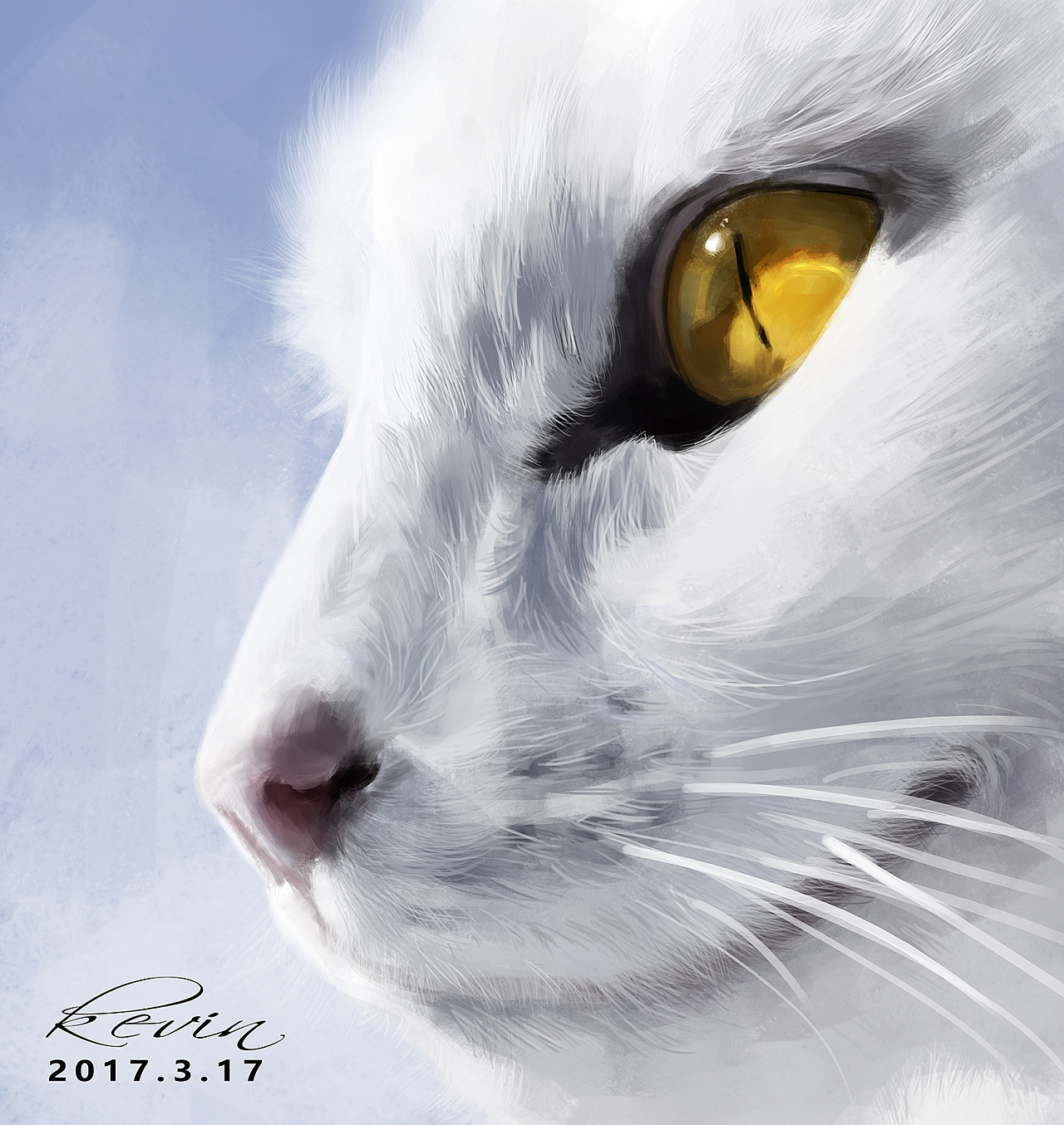 白猫の顔（猫目） | 無料イラスト＆かわいいフリー素材集 ねこ画伯コハクちゃん