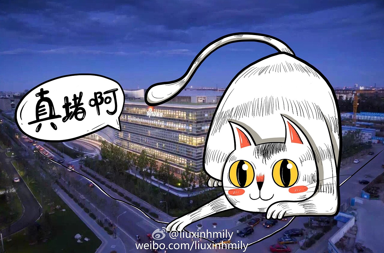 喵星人来新浪大厦逛了～～～（图ZNTYxOTk2NjA=） - 艺术插画 - 站酷设计师liuxinhmily原创素材 - 站酷ZCOOL