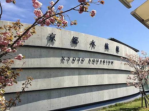 京都水族馆导视系统设计