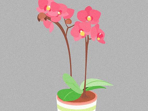 平面插畫（個人主頁-ZMzQwNzgxNjg=） - 創(chuàng)作習作 - 站酷設(shè)計師九日木風原創(chuàng)素材 - 站酷ZCOOL