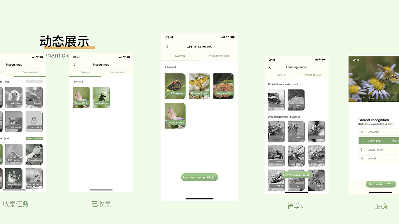 昆虫记app设计（图ZMjAwNjM3MDgw） - APP界面 - 站酷设计师玛嘉烈没有风筝原创素材 - 站酷ZCOOL