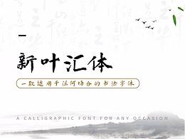 新叶汇体 | 不积小流，无以汇江海