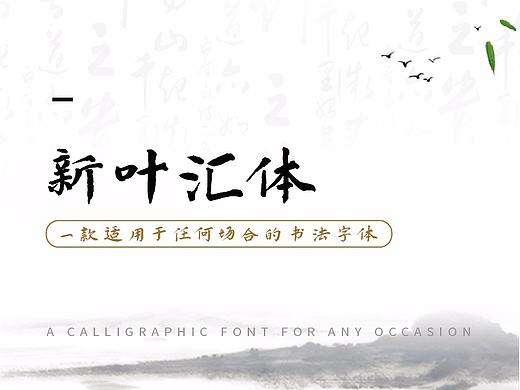 新叶汇体 | 不积小流，无以汇江海