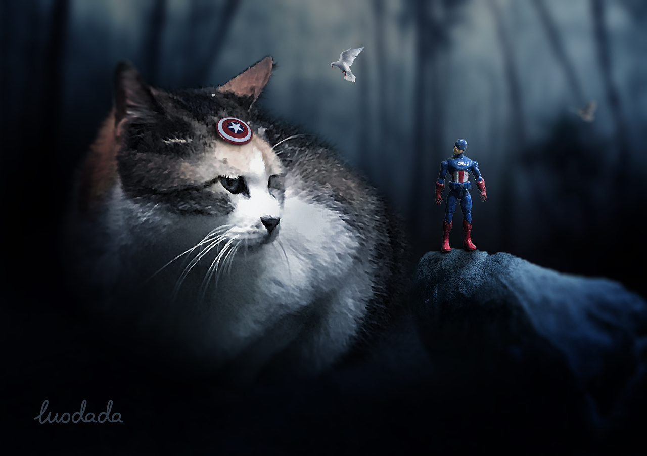 创意 合成 美国队长 猫