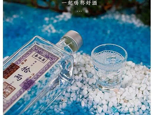 白酒类详情合集 2019-2020