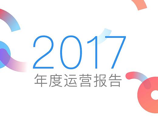 2017年度运营报告