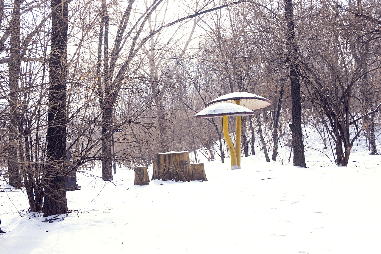 蘑菇亭子雪景