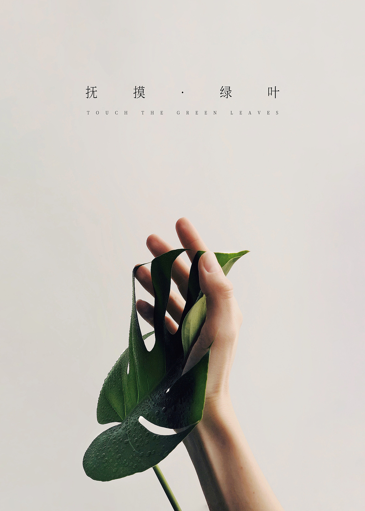 banner（图ZMTUyNzkxMjc2） - 海报 - 站酷设计师四月的某天原创素材 - 站酷ZCOOL