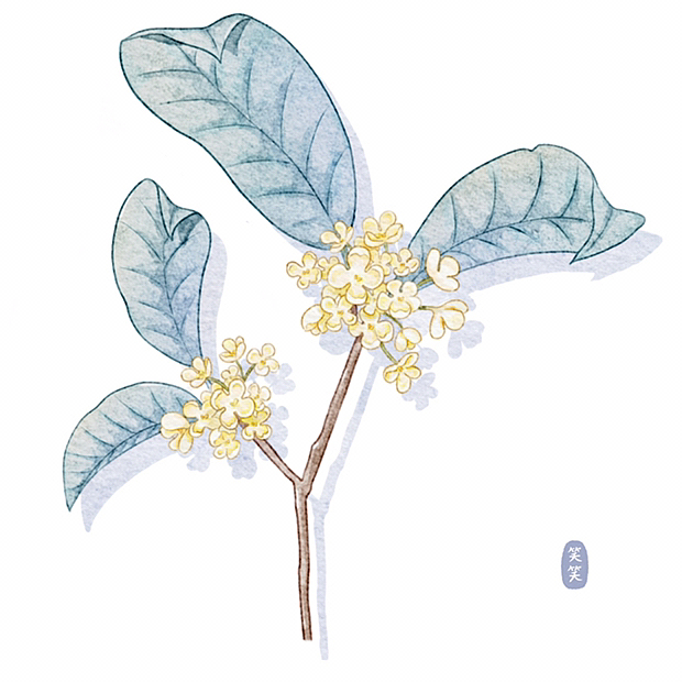 九月花卉日历插画（图ZMzE1MzgyMjg4） - 商业插画 - 站酷设计师笑笑Cathy原创素材 - 站酷ZCOOL