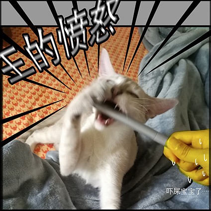 本是小仙女的小白菜（图ZODU3OTA5MTI=） - 新锐潮流插画 - 站酷设计师本宅喵原创素材 - 站酷ZCOOL