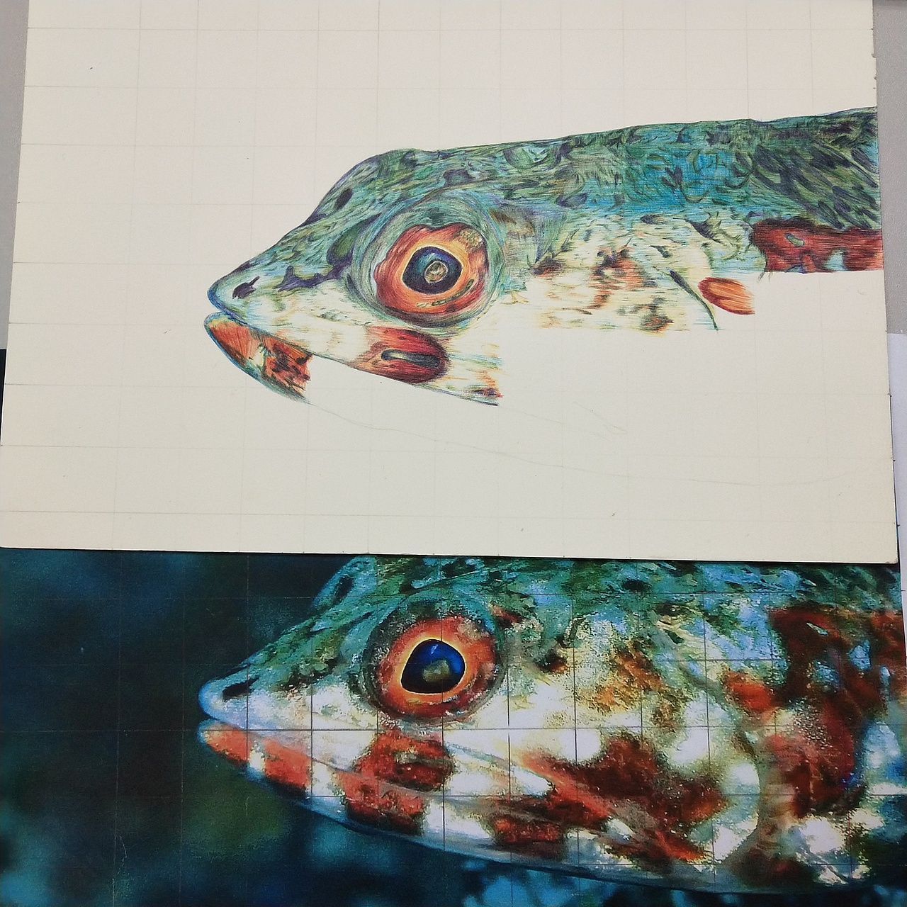 一条不像鱼的鱼