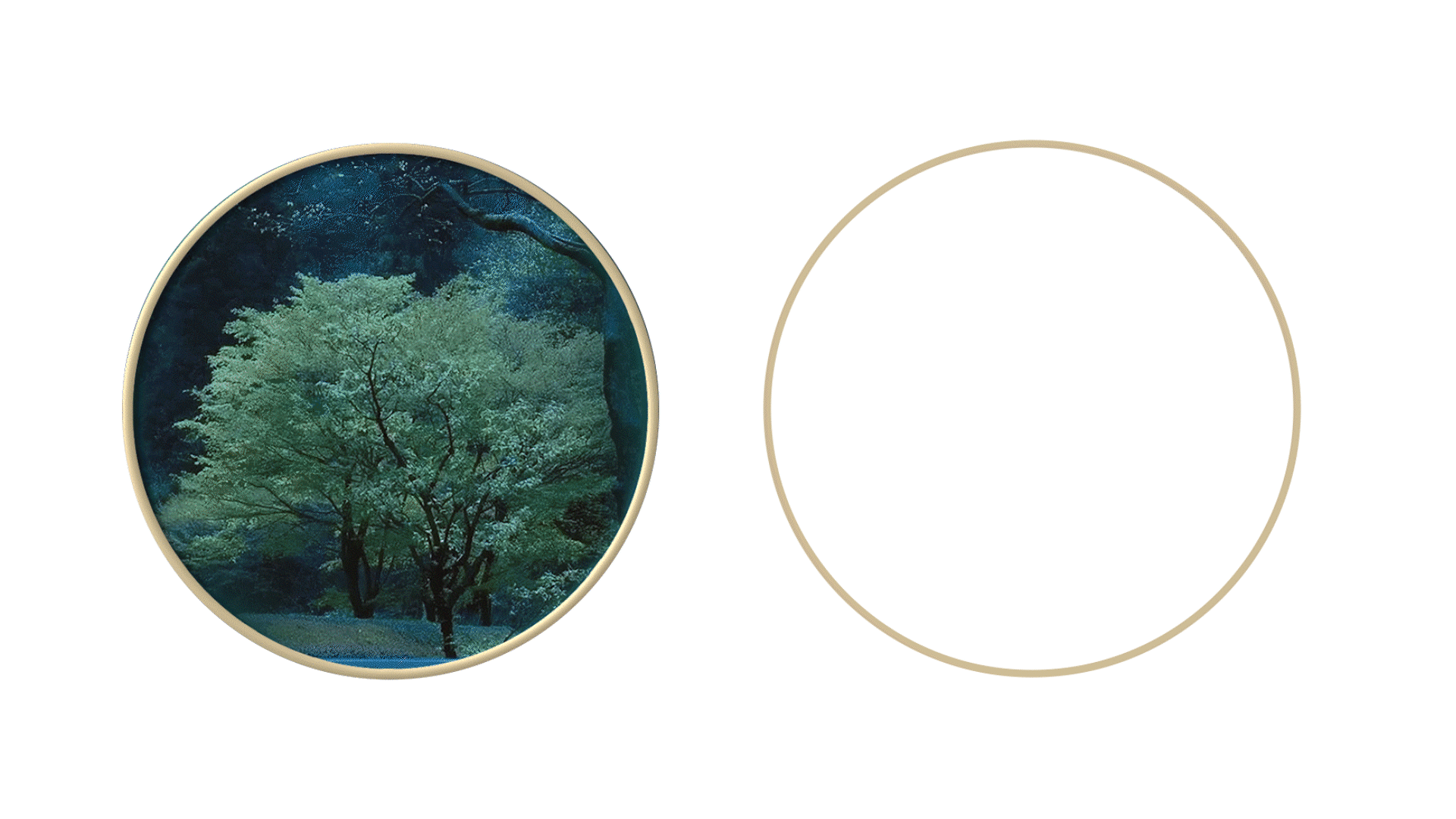 圆里藏着的中式美 厨韵轩餐饮品牌设计 dbluedesign