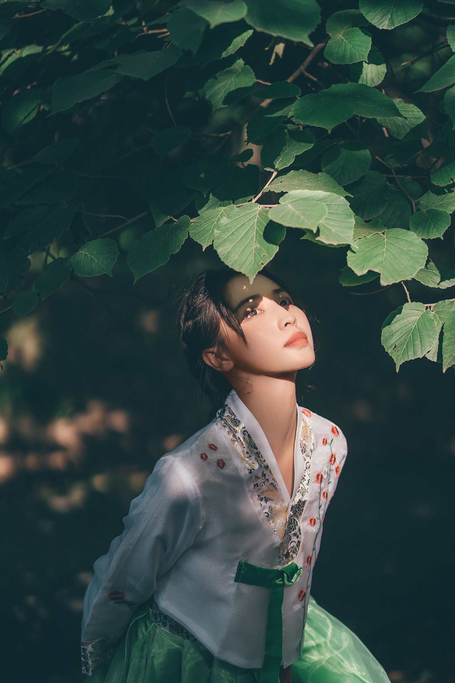 林间少女|摄影|人像摄影|晓驷 - 原创作品 - 站酷 (zcool)