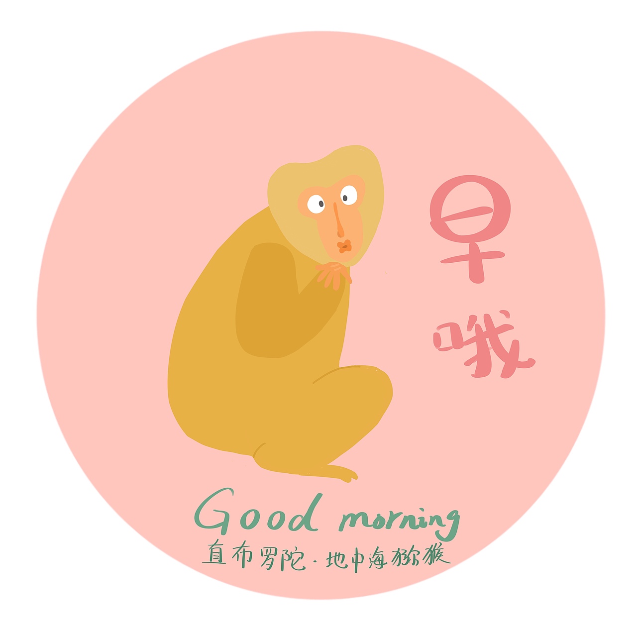 各国动物早上好