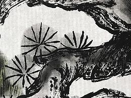 包装参考