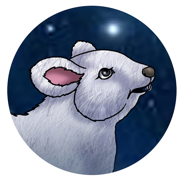 均为人形造型各自带有各自属性的生肖组合。