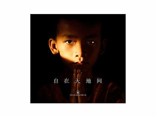 天下禅LOGO升级改造