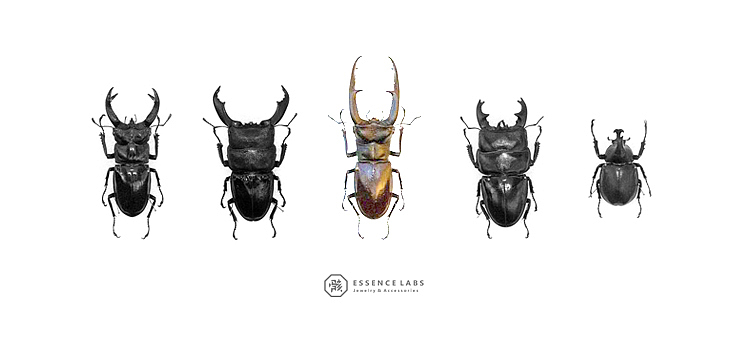 骸首饰设计师原创空想解剖学系列【深山锹甲】手工昆甲虫戒指银