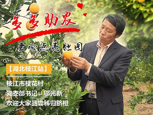秭归脐橙“多多助农”版面