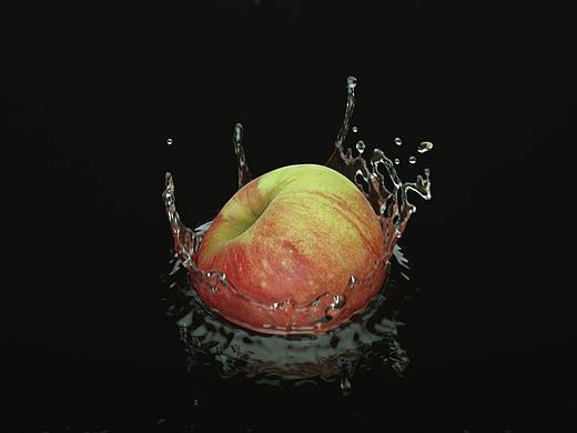RealFlow  流体