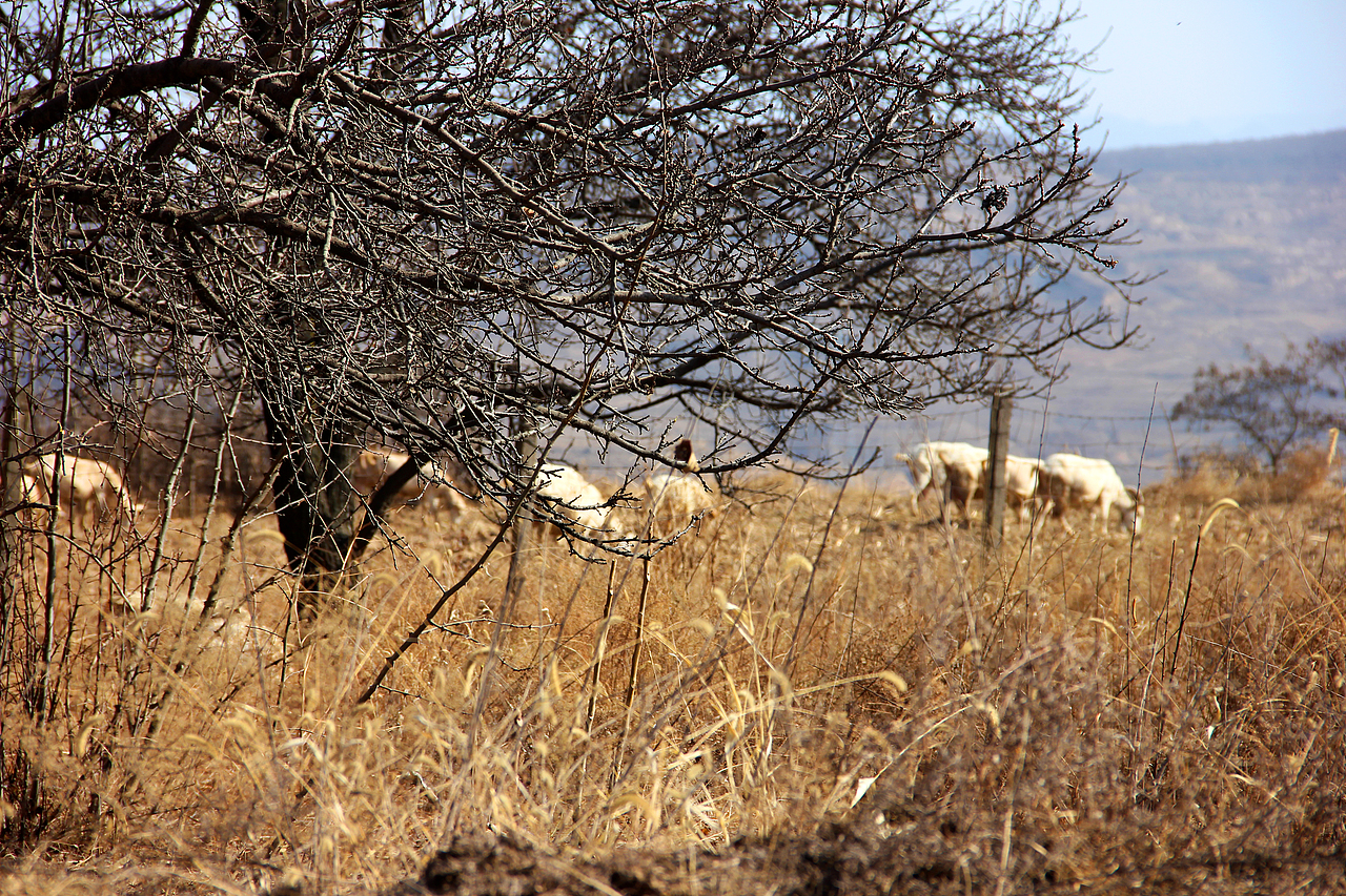 一年一次的回家  一年一次的记忆