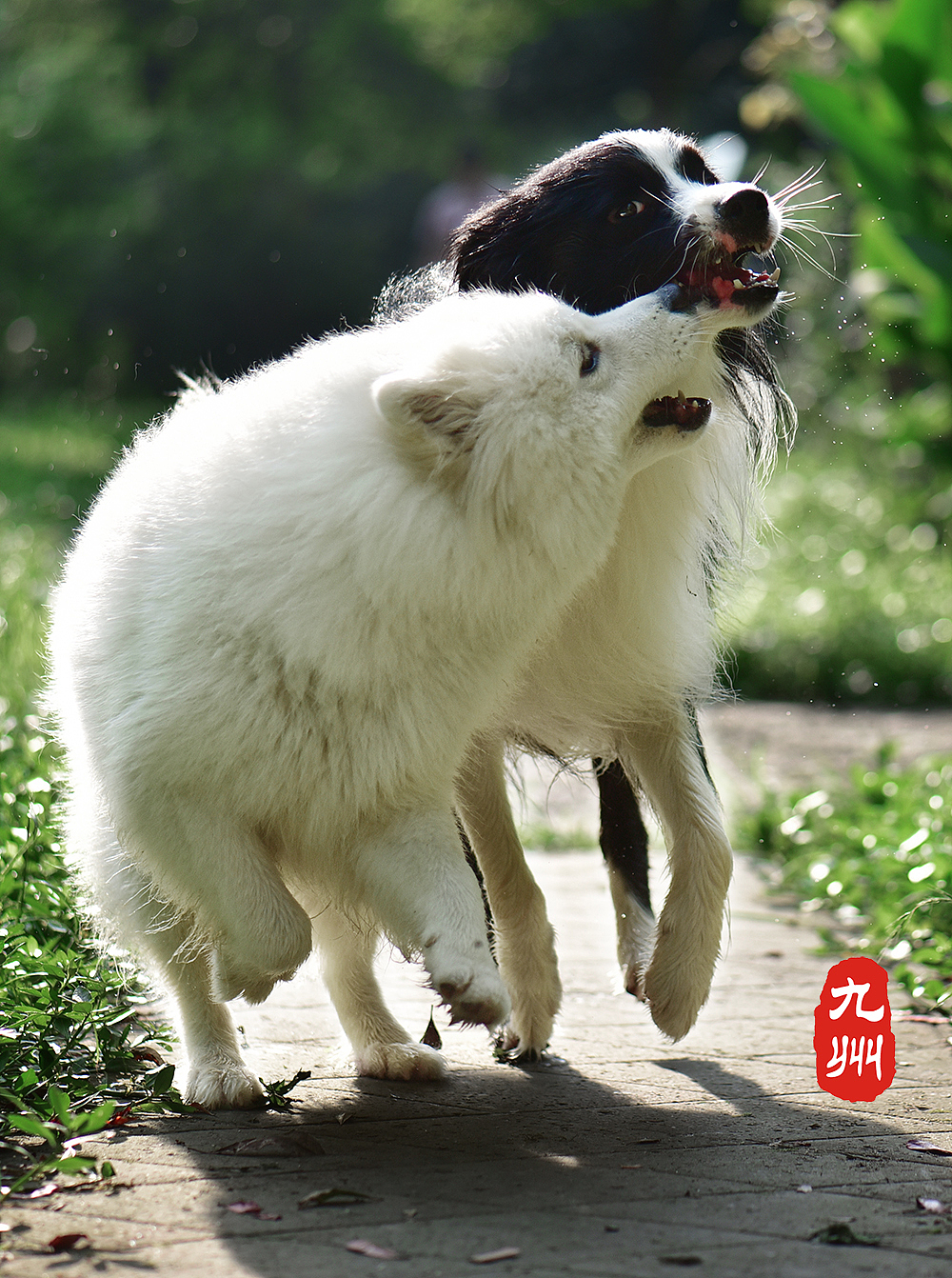 相爱相杀黑白双煞