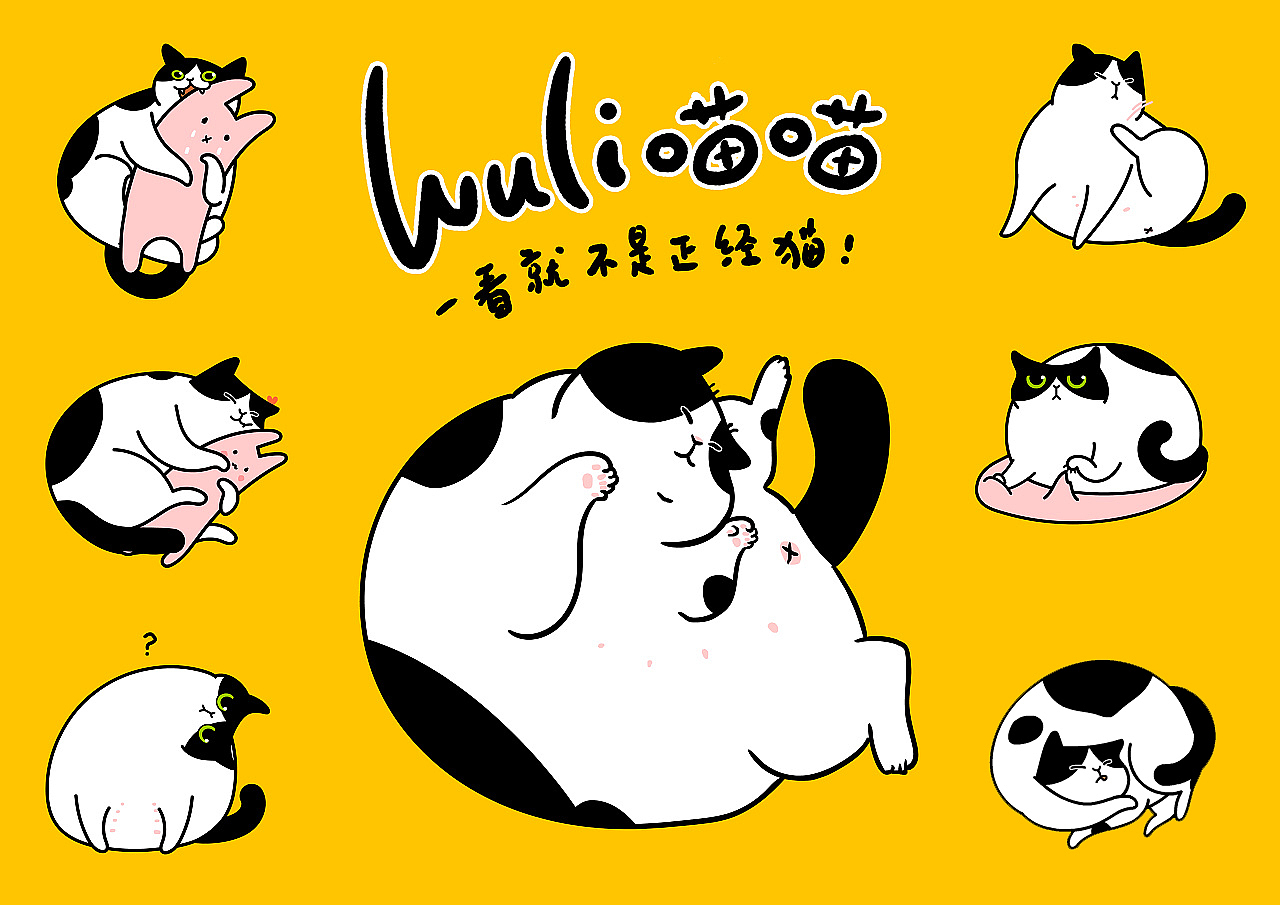Wuli喵喵微信动态表情（图ZMjc1Mjk0MTcy） - 网络表情 - 站酷设计师橙肉肉的橙原创素材 - 站酷ZCOOL