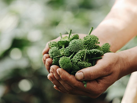 泽润三七拍摄x里予文化