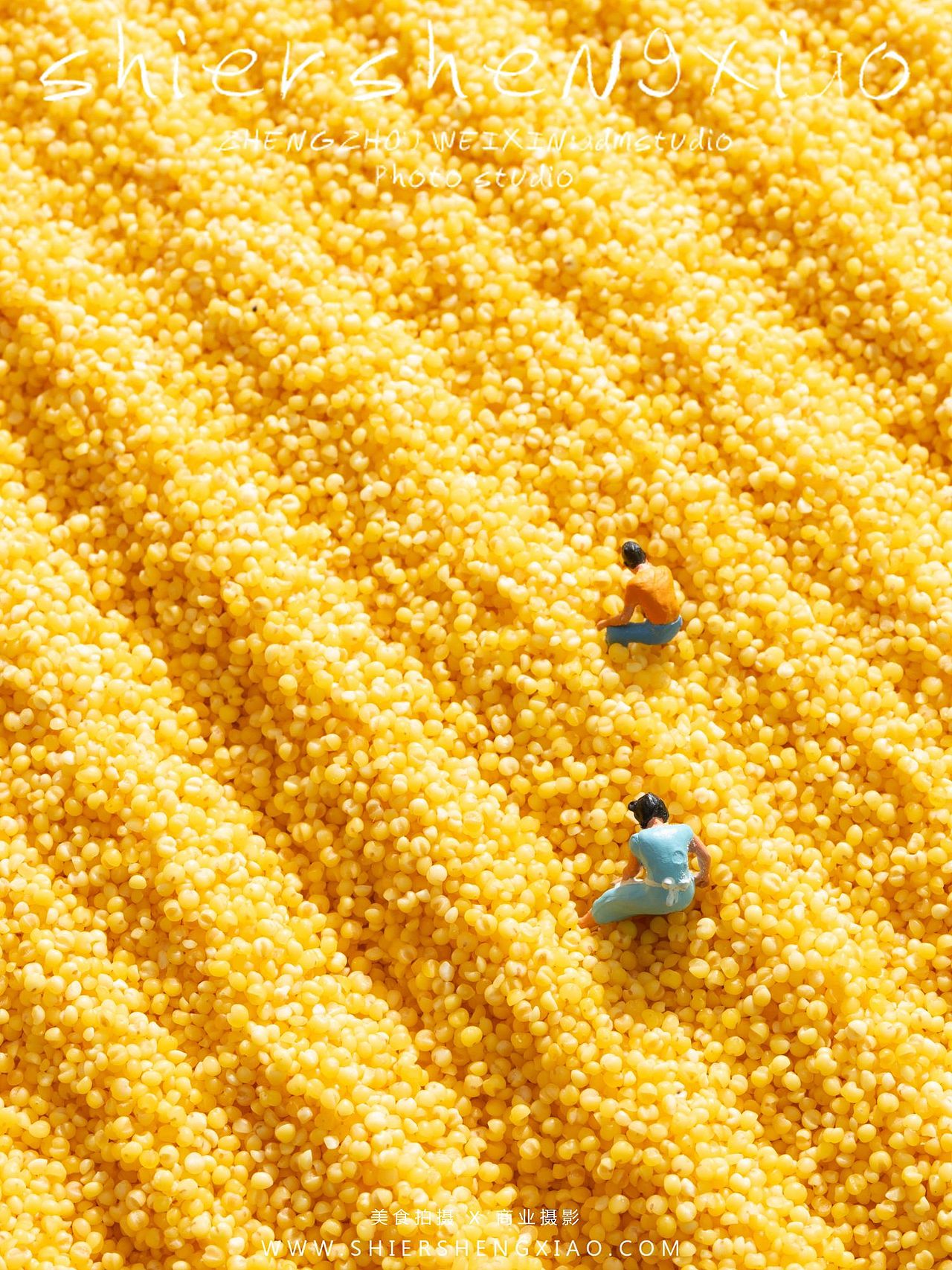 给谷子小米拍组金黄色复古微距写真（图ZMzY0NDM0NjM2） - 美食摄影 - 站酷设计师张廓原创素材 - 站酷ZCOOL