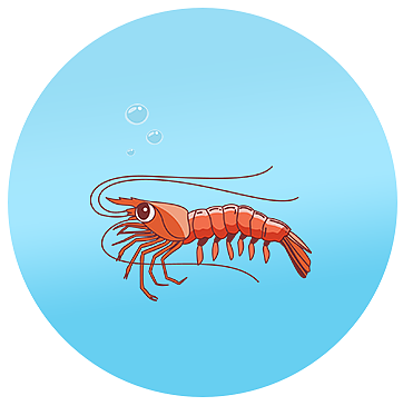 图标（图ZMTkwMzY5NTQw） - 图标 - 站酷设计师明月芳馨原创素材 - 站酷ZCOOL