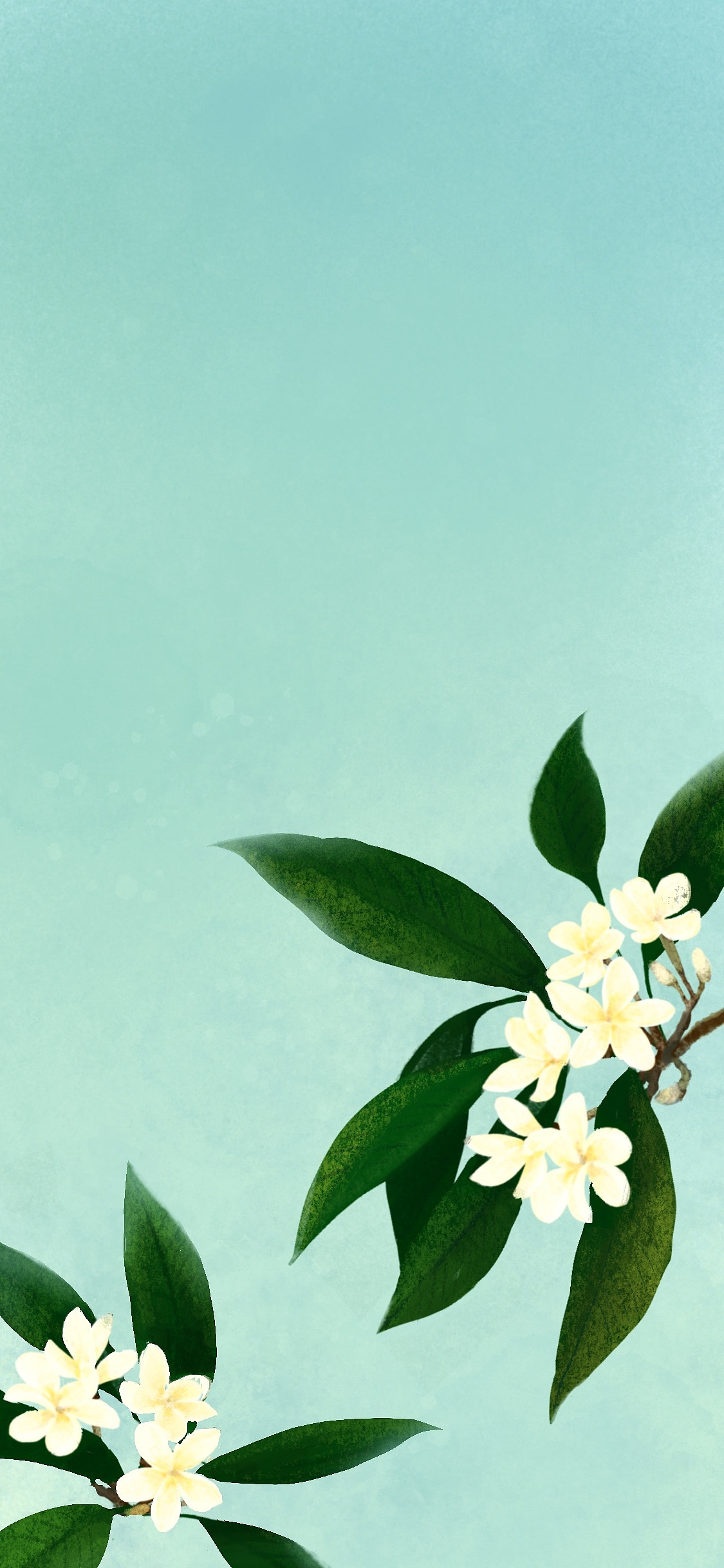 鸡蛋花|插画|商业插画|星月rem - 原创作品 - 站酷 (zcool)