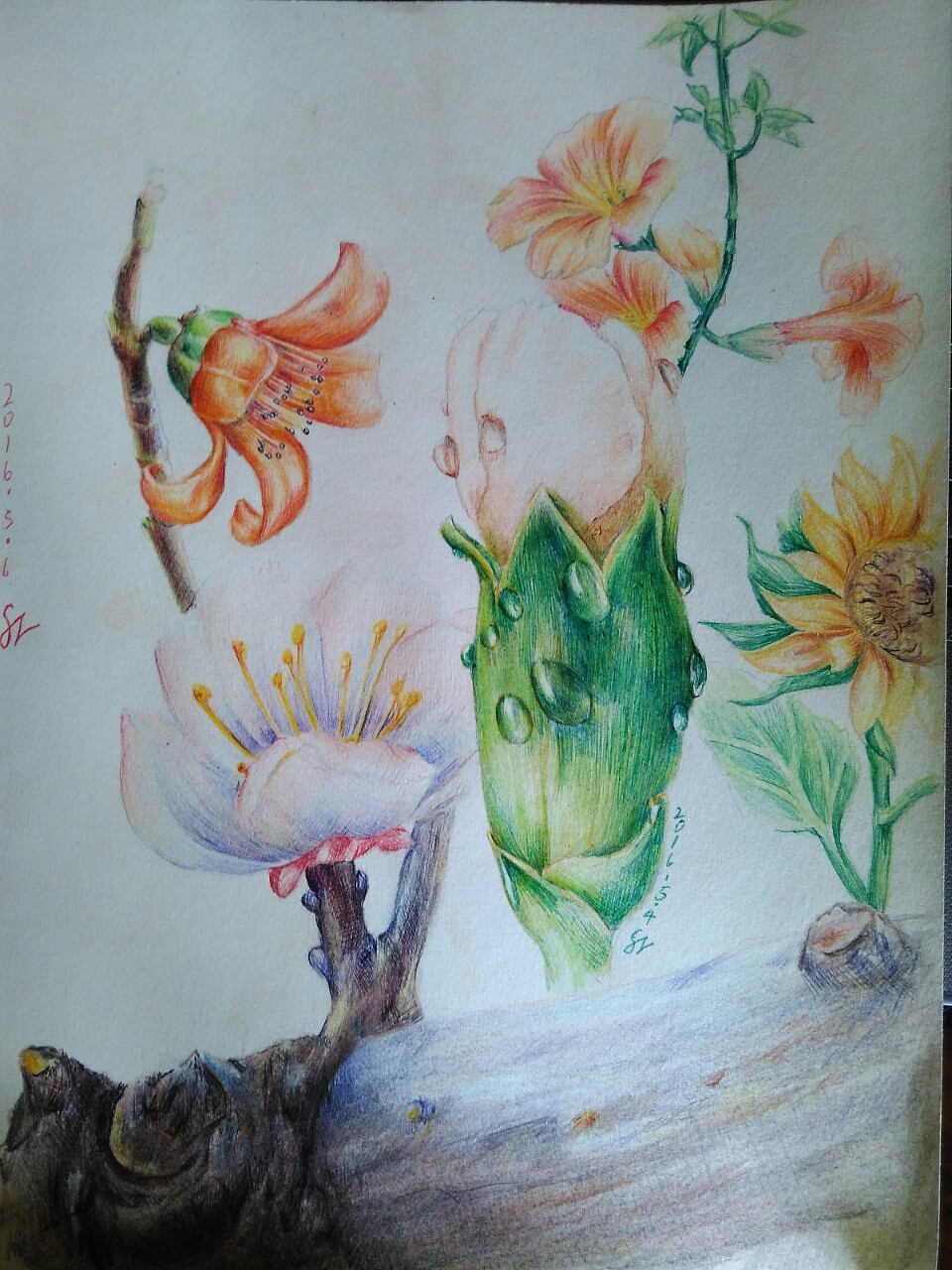 练笔|插画|创作习作|feizhuxie_原创作品-站酷zcool