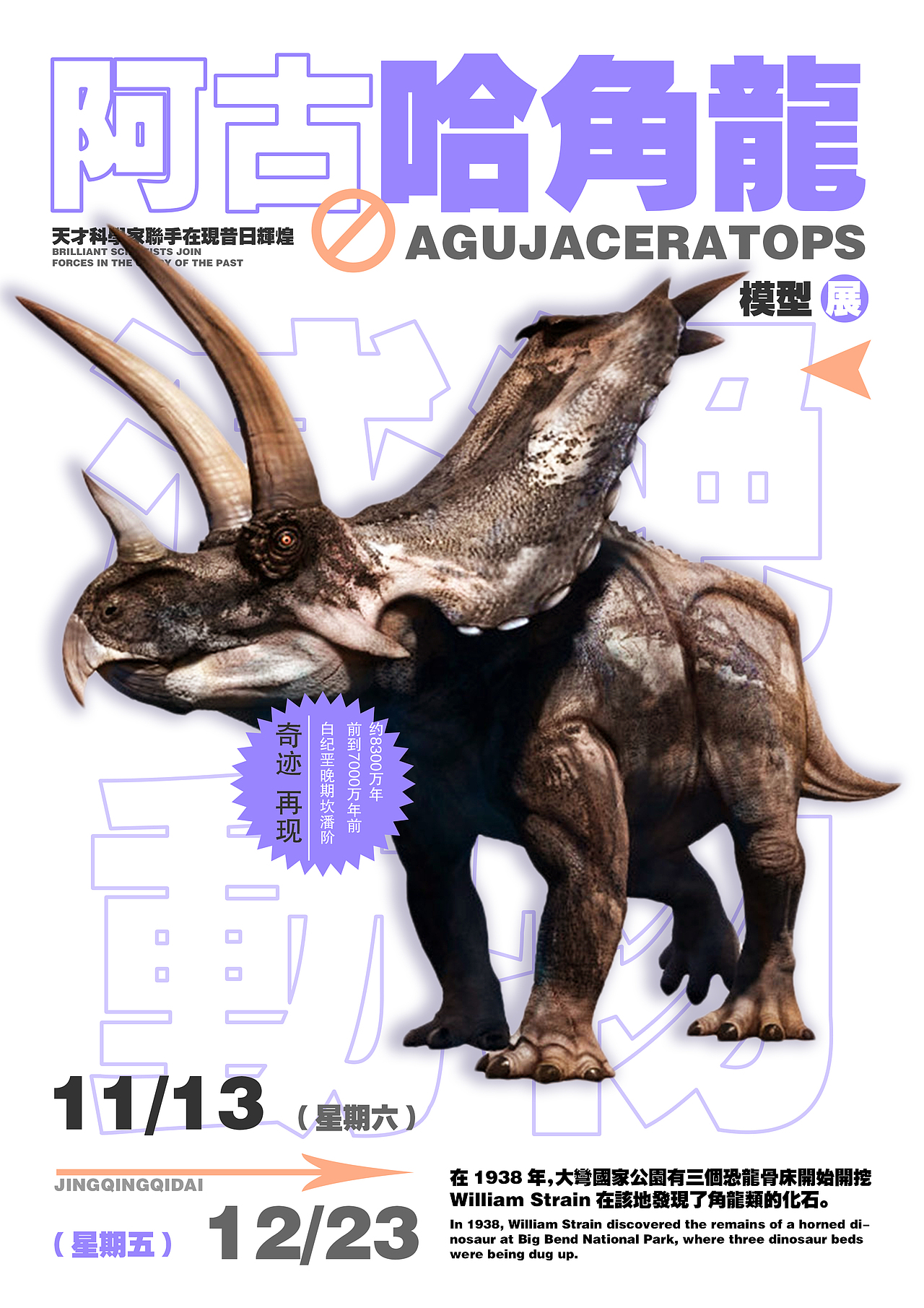 精致海报分享(2)