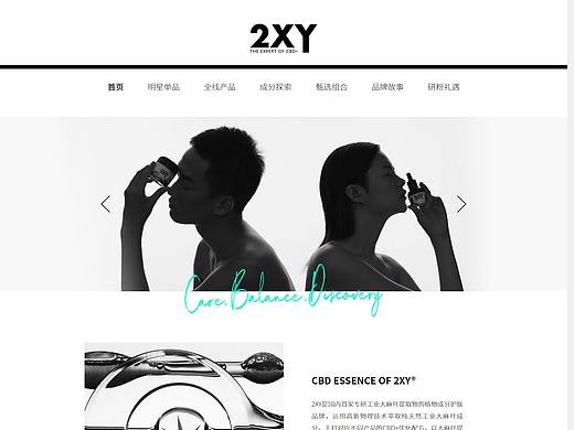 化妆品品牌公司官网设计（神州互动）