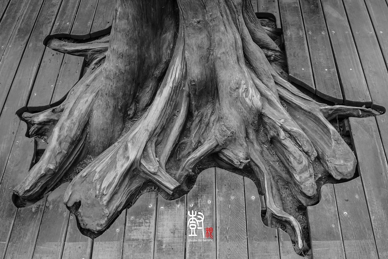 个人摄影作品（图ZMTYyNzg2ODI4） - 风光摄影 - 站酷设计师tianshu814原创素材 - 站酷ZCOOL