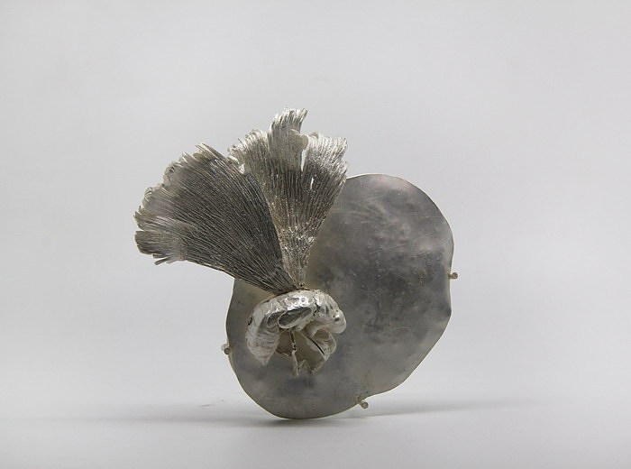 【秋蝉的轮回】