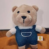 不想长大的熊熊的头像