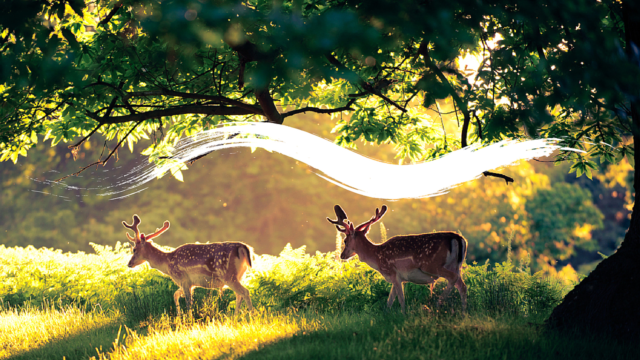 百里天原VI视觉