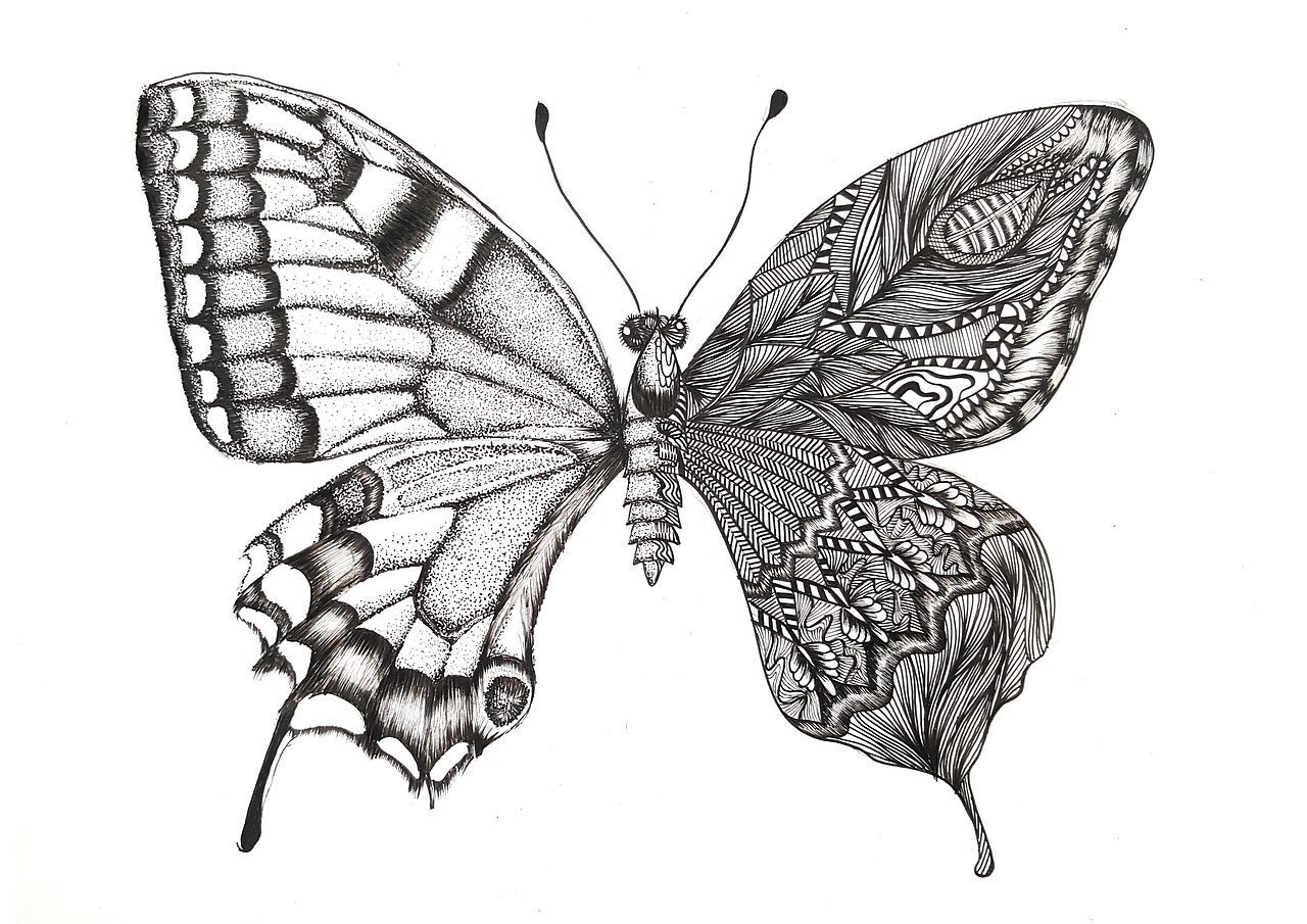 黑白装饰画 插画（图ZMTMxNjQ2MTg4） - 创作习作 - 站酷设计师ZhI秋原创素材 - 站酷ZCOOL