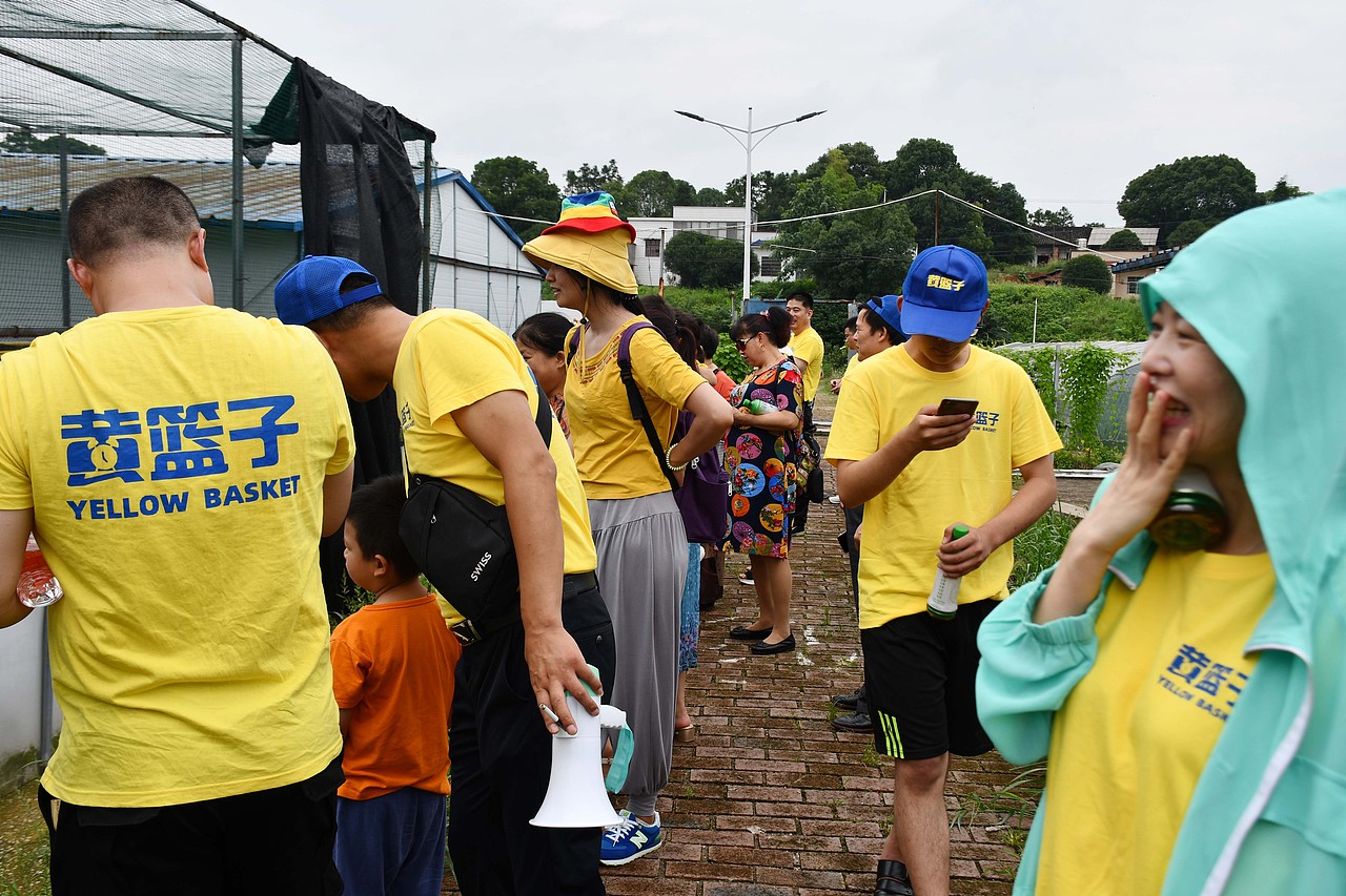黄篮子生鲜会员探访黄篮子蔬菜种植基地 - 天然无公害