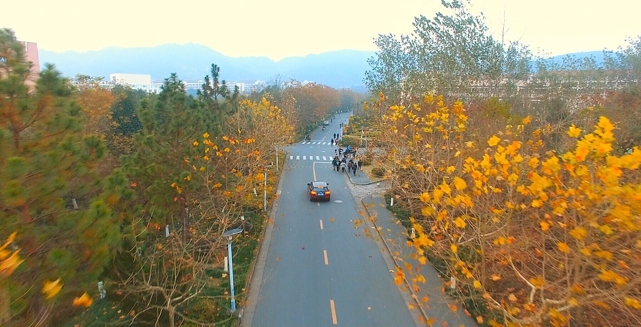 农林大学航拍视频