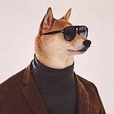 P大勇的头像