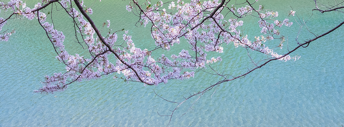 街头摄影(东京)