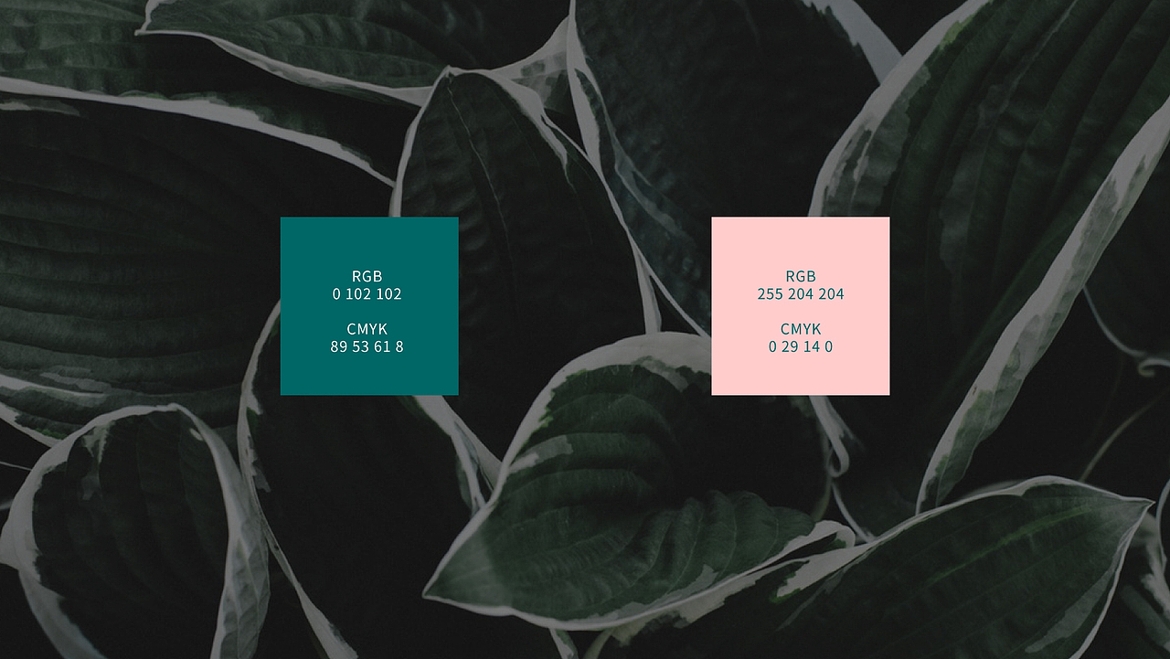 品牌提案ⅠCAOYANG草漾（图ZMTc0MTA5NzY0） - 品牌 - 站酷设计师_周不高兴原创素材 - 站酷ZCOOL