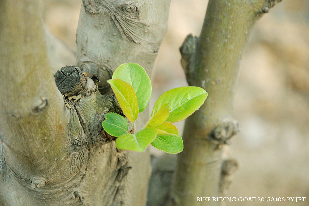 动人的风景永远在路上,别赶路,去感受路4-2