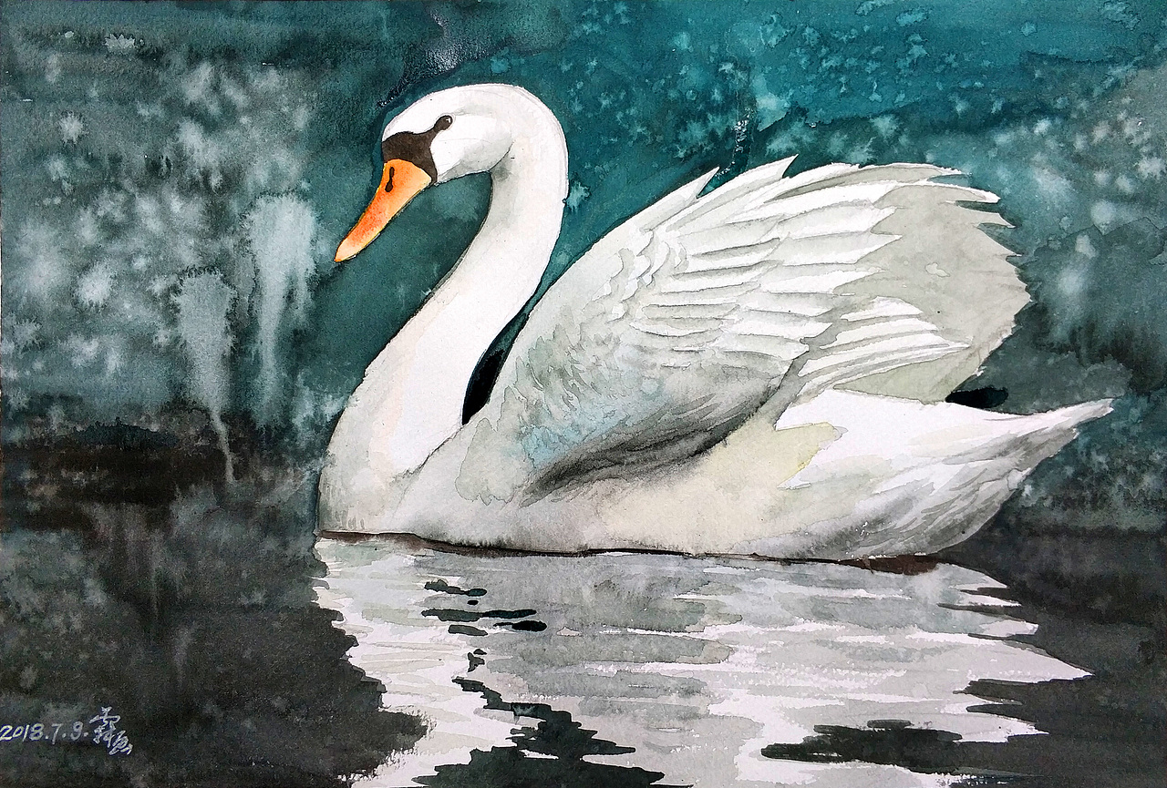 水彩速涂《水中天鹅》